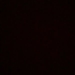 Meet your Posher, Benjamin